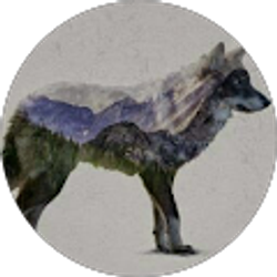 Profile photo of Chey Gilmore