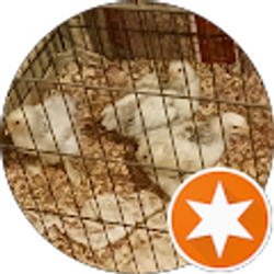 Profile photo of jeff widmer