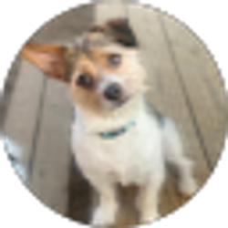 Profile photo of Mary martin
