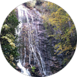 Profile photo of w “WHaus”