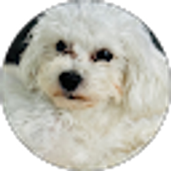 Profile photo of Joanne Demangus