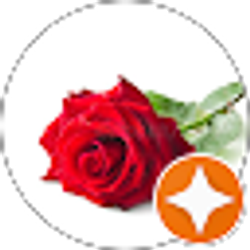 Profile photo of Rosa DeAvila