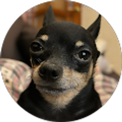 Profile photo of Benjamin Pierce