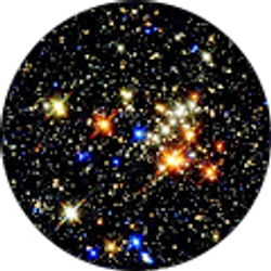 Profile photo of Parimala Stephens