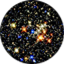 Profile photo of Parimala Stephens