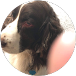 Profile photo of Larry Goldstein