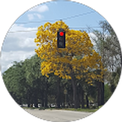 Profile photo of Alberto Torres