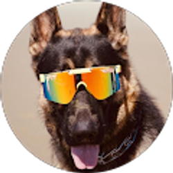 Profile photo of Maddie Pohlman