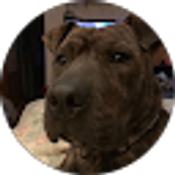 Profile photo of Mike Wallace