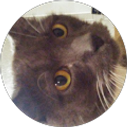 Profile photo of DankestMemeLord ___