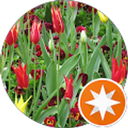 Profile photo of Omez Mesina