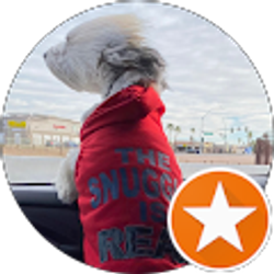 Profile photo of Hamed Gh