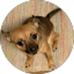 Profile photo of Bridget Romo