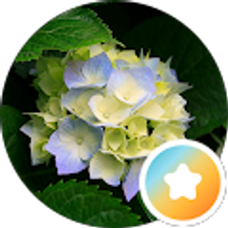 Profile photo of Brenda K