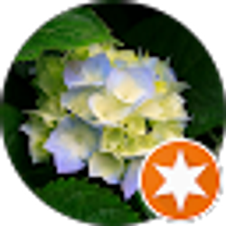 Profile photo of Brenda K