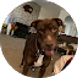 Profile photo of Abigail