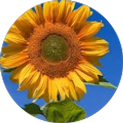 Profile photo of Ashley Free