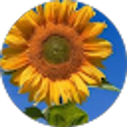 Profile photo of Ashley Free