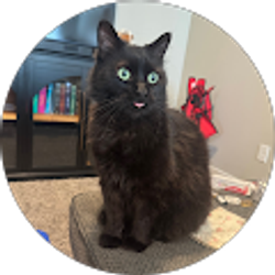 Profile photo of Madeline Hixson