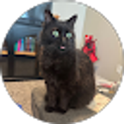 Profile photo of Madeline Hixson