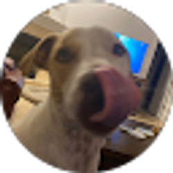 Profile photo of Edward Jasonek