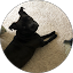 Profile photo of Shawna Bell