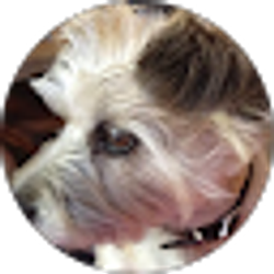 Profile photo of Pam Shepherd