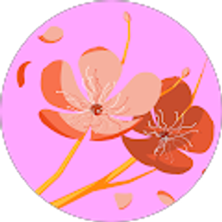 Profile photo of sandra ramit