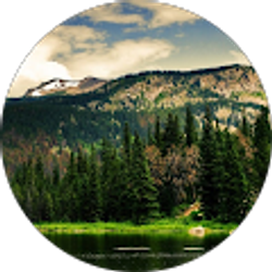 Profile photo of Muhammad Qasim