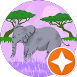 Profile photo of Anitra Wilcox