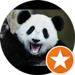 Profile photo of D Mascarenas