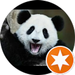 Profile photo of D Mascarenas