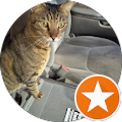 Profile photo of john Kosheluk