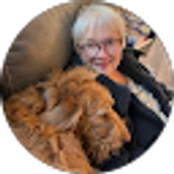 Profile photo of Deb Weber