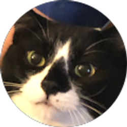 Profile photo of carolyn s