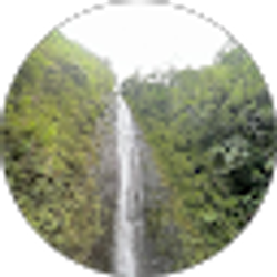 Profile photo of anita lopez