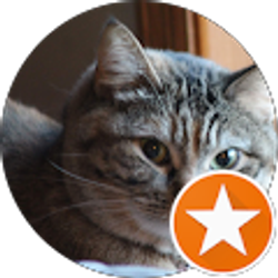 Profile photo of Jen H
