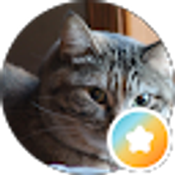 Profile photo of Jen H