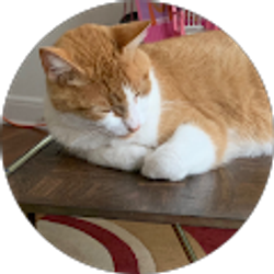 Profile photo of Barbara Woodall