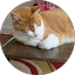 Profile photo of Barbara Woodall