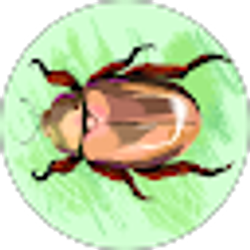 Profile photo of HoboJack 69