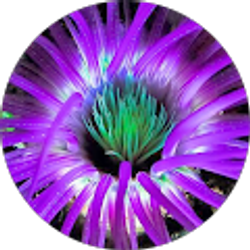 Profile photo of Karen Connell