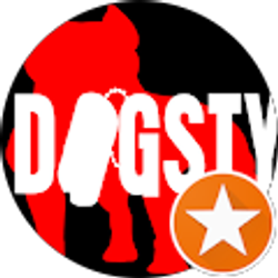 Profile photo of mike sherman (DJ Dogstyle)