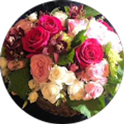 Profile photo of Faina Rozumov