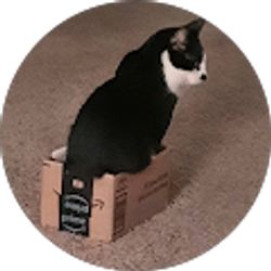 Profile photo of Tom Vaughn