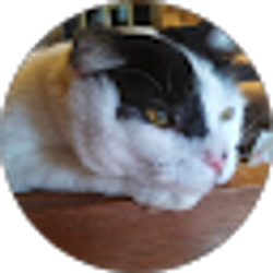 Profile photo of Ann Gillon