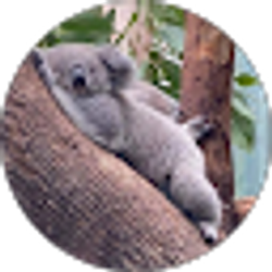 Profile photo of Candace McDonald-Allen