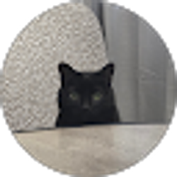 Profile photo of Lisa Coito