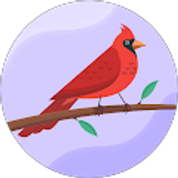 Profile photo of Sue Philpott