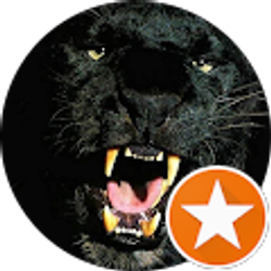 Profile photo of Anonymous Taylor